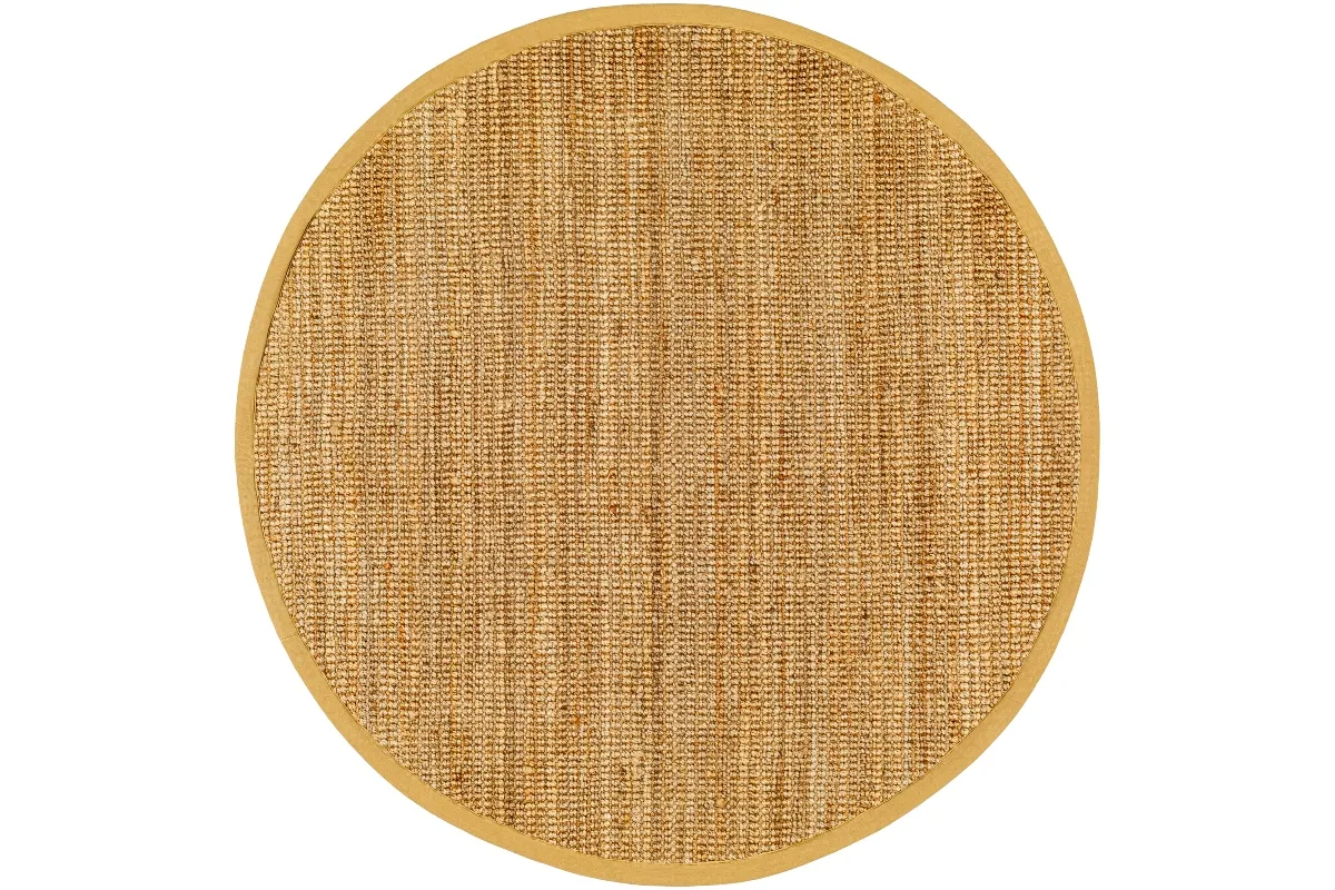 Becki Owens Chloe Indoor Hand Woven Rug