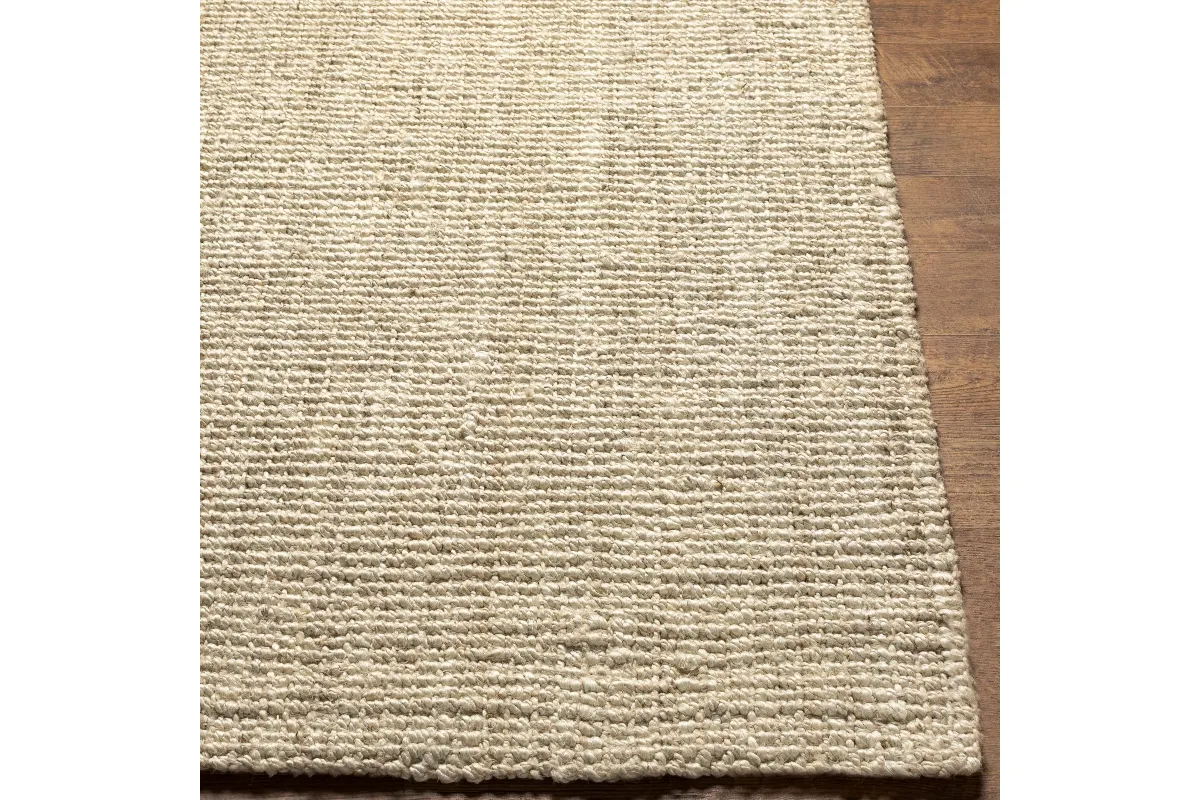 Becki Owens Chloe Indoor Hand Woven Rug