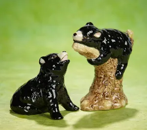 Black Bears Salt and Pepper Shakers