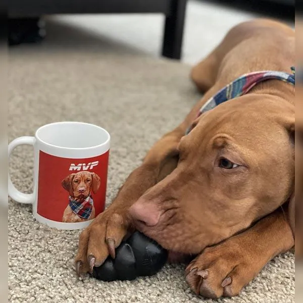 Custom Pet Art Coffee Mugs