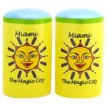 MIAMI Skyline Ceramic Salt or Pepper Shakers - Feature Miami Iconic Views- Miami Souvenirs 1 Count